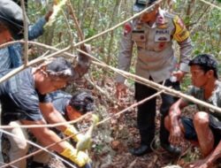 Manusia Ditemukan Mati dan Teridentifikasi Sebagai Kerangka di Hutan Buton, Diduga Mangsa Ular Piton