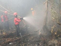 Provinsi Sumatera Selatan Berhasil Menekan Angka Titik Panas Karhutla, Badan Meteorologi Klimatologi dan Geofisika: Program Pencegahan Berjalan Lancar