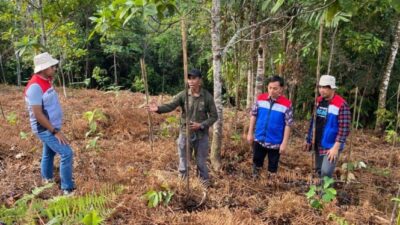 Pertamina Mengembangkan Konservasi Desa Kokolomboi untuk Menjaga Kelestarian Hutan