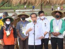 Petani Kini Diizinkan Membeli Pupuk Subsidi dengan KTP Saat Masuk Masa Tanam atas Izin Jokowi