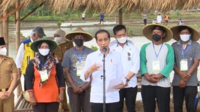 Petani Kini Diizinkan Membeli Pupuk Subsidi dengan KTP Saat Masuk Masa Tanam atas Izin Jokowi