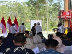 Perusahaan Mendukung Restorasi Hutan IKN Akan Mendapat Pengurangan Pajak 200 Persen, Ini Skemanya