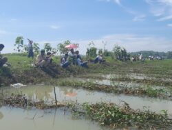 Caleg DPR RI Dapil Jabar X Rokhmat Ardiyan Menunjukkan Kemampuan Menarik Perhatian Melalui Acara Mancing Mania di Pangandaran