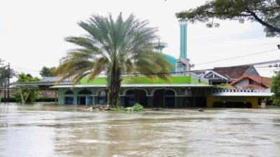 Mungkin Terbentuk Kembali Selat Muria