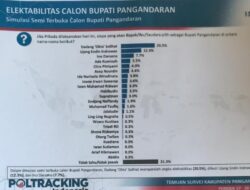 Dadang Solihat Naik Daun dalam Survei Sementara Pilkada 2024