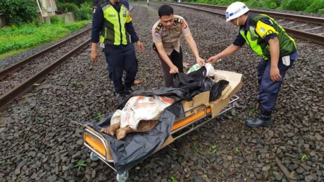 Siswi SMP Meninggalkan Surat Wasiat Sebelum Mengorbankan Diri di Rel Kereta: Permintaan Maaf atas Segala Kesulitan yang Saya Timbulkan pada Mamah